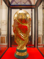 20101113212803_fifa_world_cup_trophy