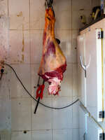 road side meat stop - obviously not vegetarian friendly Ouarzazate, Interior, Morocco, Africa