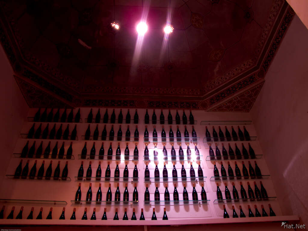 wines cellar art
