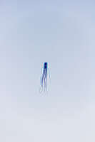 blue octopus kite Black Rock City, Neveda, USA, North America