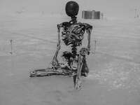 skeleton in desert Black Rock City, Neveda, USA, North America